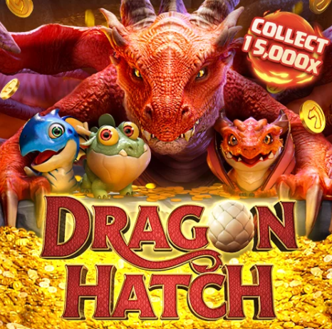 เเนะนำเกม Dragon Hatch